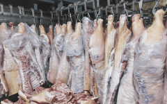 <b>全方位宣传企业出产流程、质量管控行动</b>