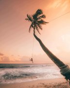 <b>候酒店订房比力严重</b>